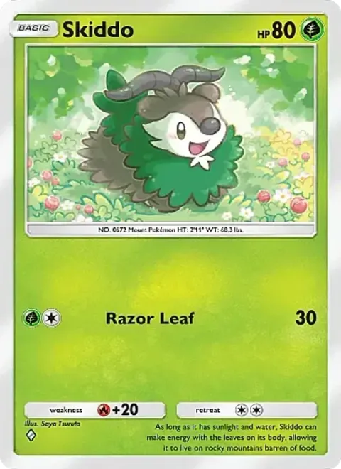 Skiddo 021/226