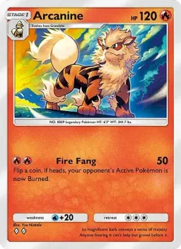 Arcanine 029 Mega Rising