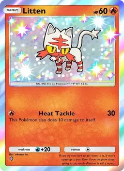 Litten 293 Mega Rising