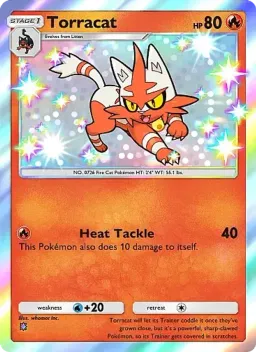 Torracat 294 Mega Rising