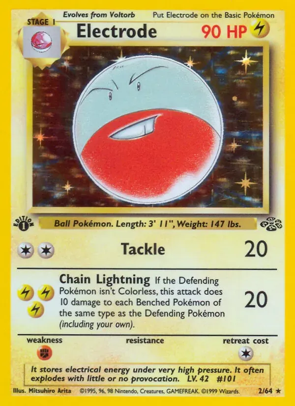 Electrode 2/64 Selva
