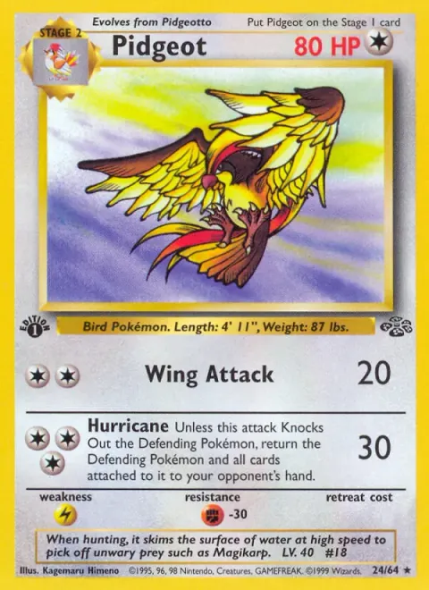 Pidgeot 24/64