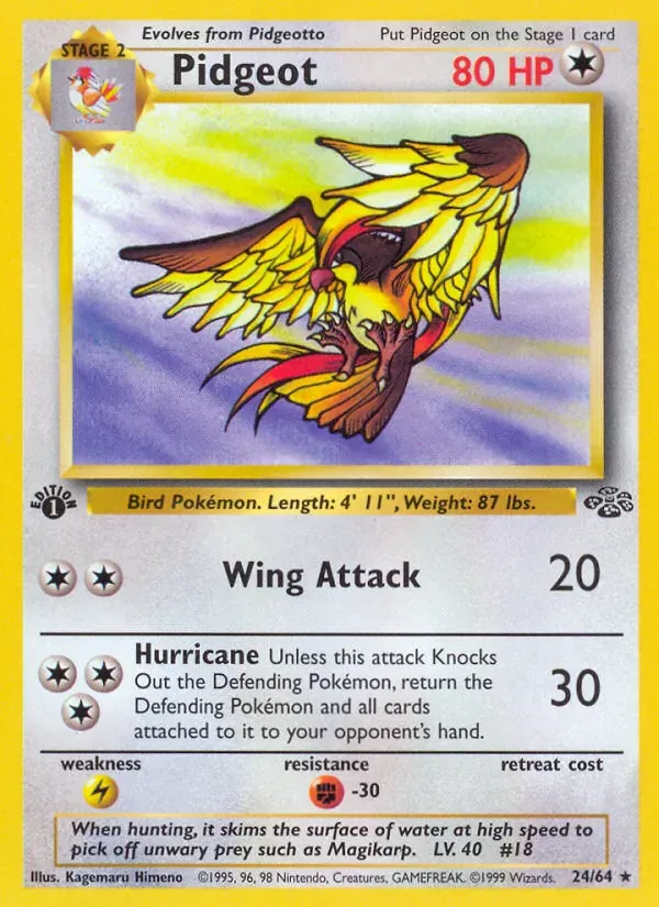 Pidgeot 24/64 Selva