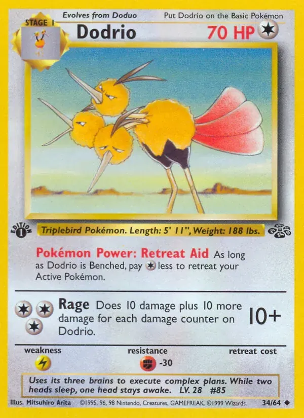Dodrio 34/64 Selva
