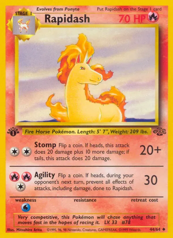 Rapidash 44/64 Selva