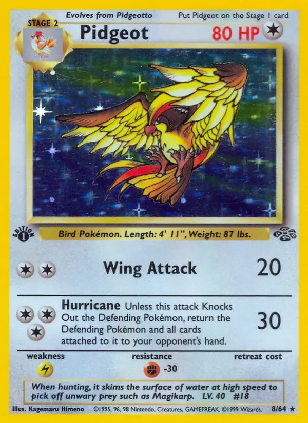 Pidgeot 8/64 Selva