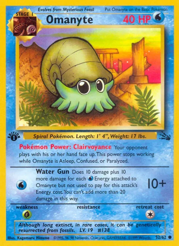 Omanyte 52/62 Fóssil