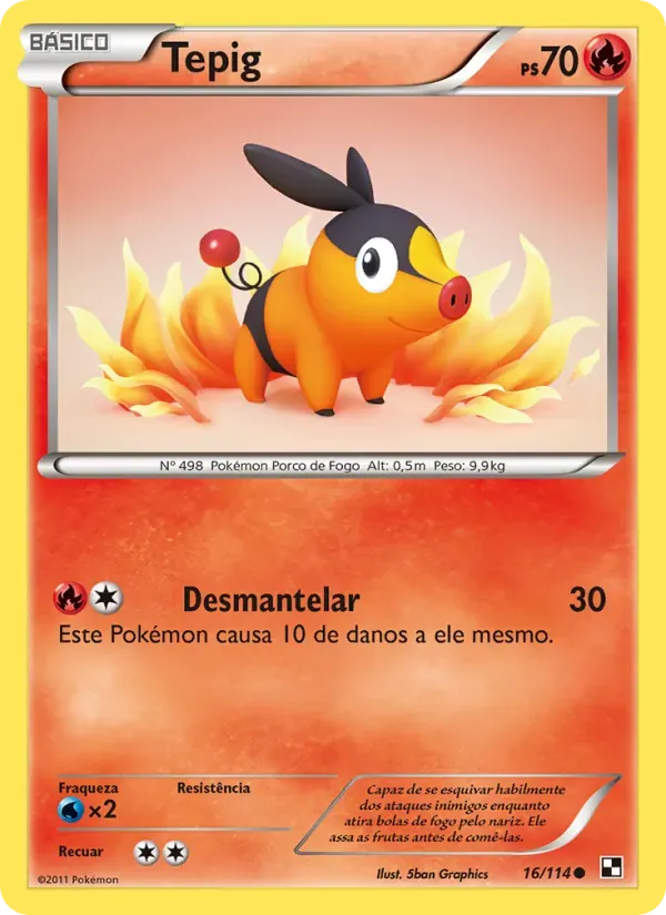 Tepig 16/114 Black & White