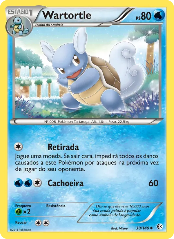 Wartortle 30/149 Fronteiras Cruzadas