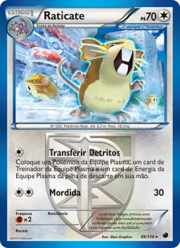 Raticate 88 Congelamento de Plasma