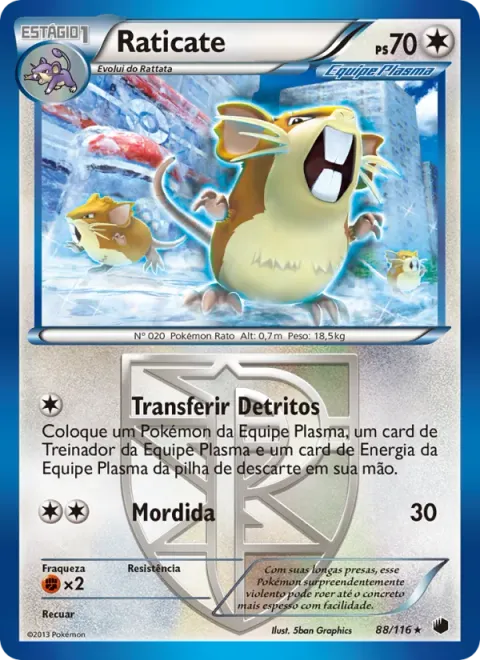 Raticate 88/116