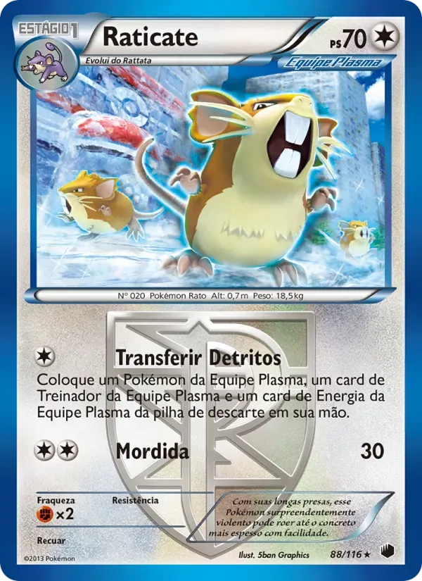 Raticate 88/116 Congelamento de Plasma