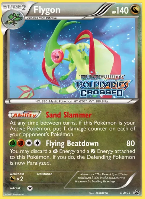 Flygon BW53/101