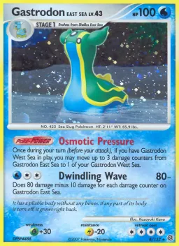 Gastrodon East Sea 8 Maravilhas Secretas