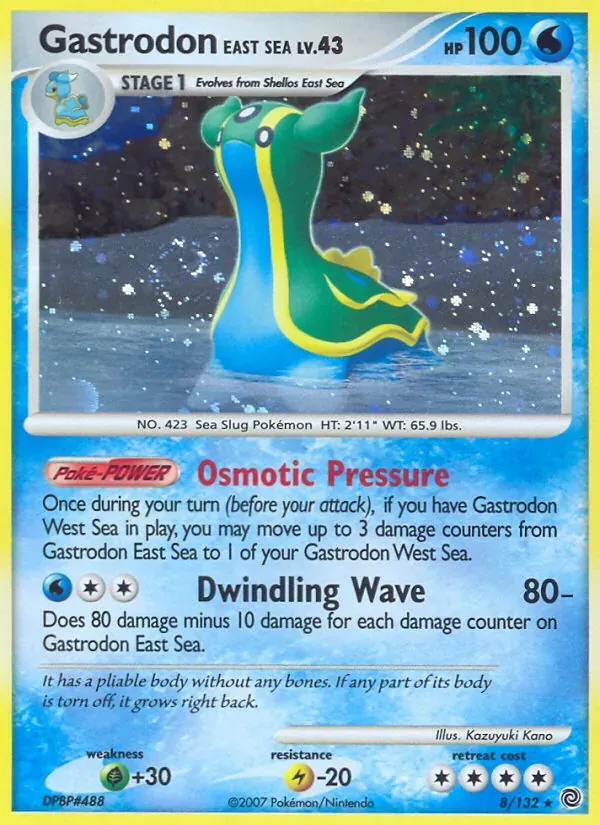 Gastrodon East Sea 8/132 Maravilhas Secretas