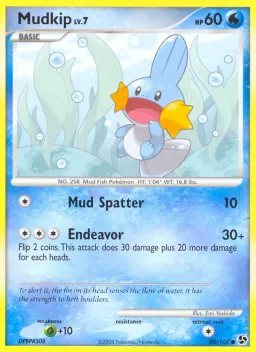 Mudkip 80 Great Encounters