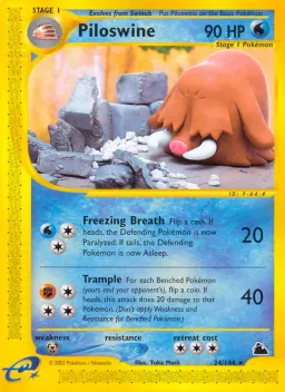 Piloswine 24 Skyridge