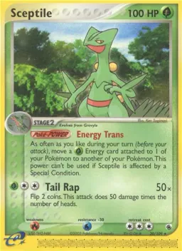 Sceptile 20 EX Rubi e Safira