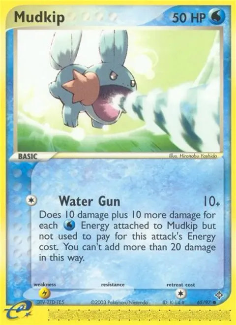 Mudkip 65/97