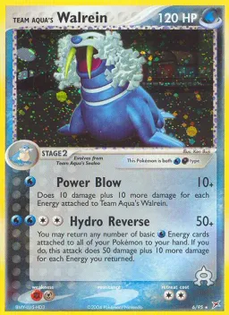 Team Aqua's Walrein 6 Team Magma vs Team Aqua