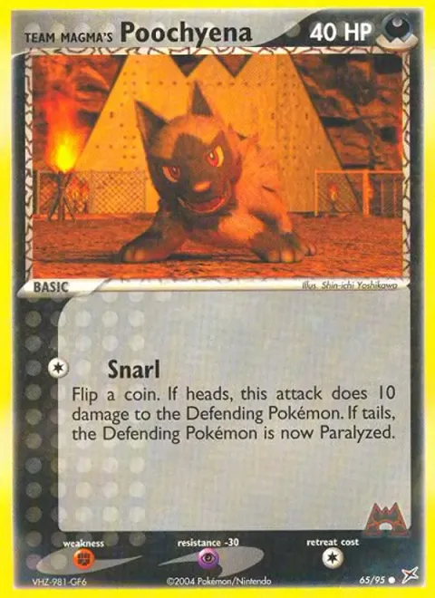 Team Magma's Poochyena 65/95