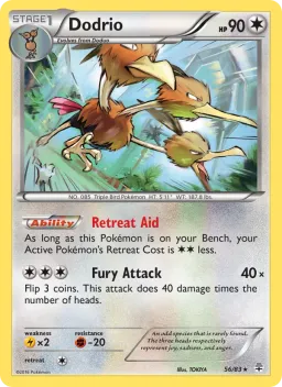 Dodrio 56 Gerações