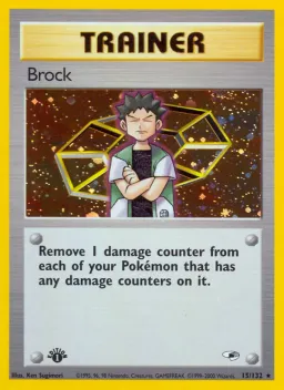 Brock 15 Gym Heroes