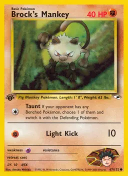 Brock's Mankey 67 Gym Heroes