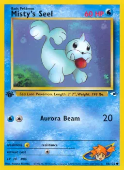 Misty's Seel 88 Gym Heroes