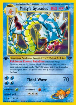 Misty's Gyarados 13 Gym Challenge