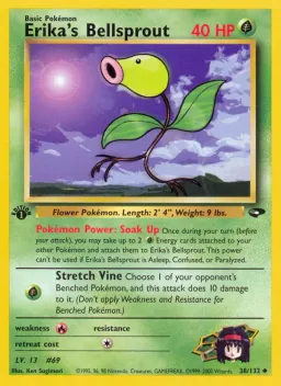 Erika's Bellsprout 38 Gym Challenge