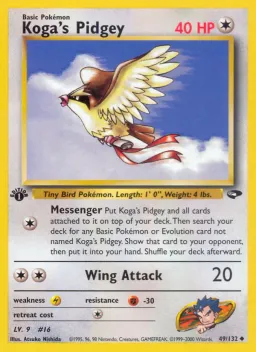 Koga's Pidgey 49 Gym Challenge