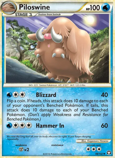 Piloswine 48/102