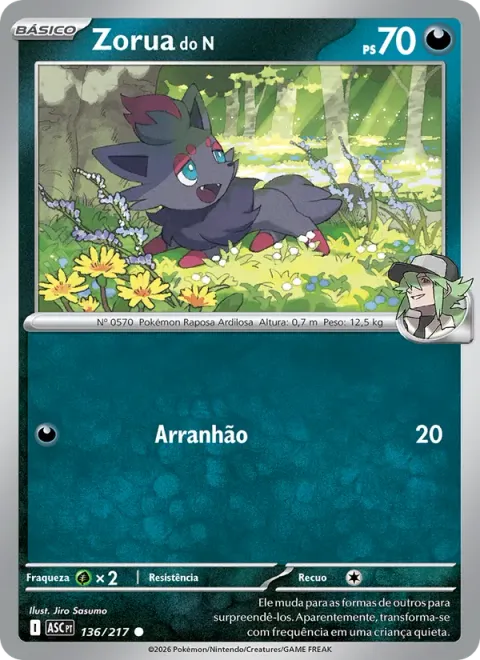 Zorua do N 136/217