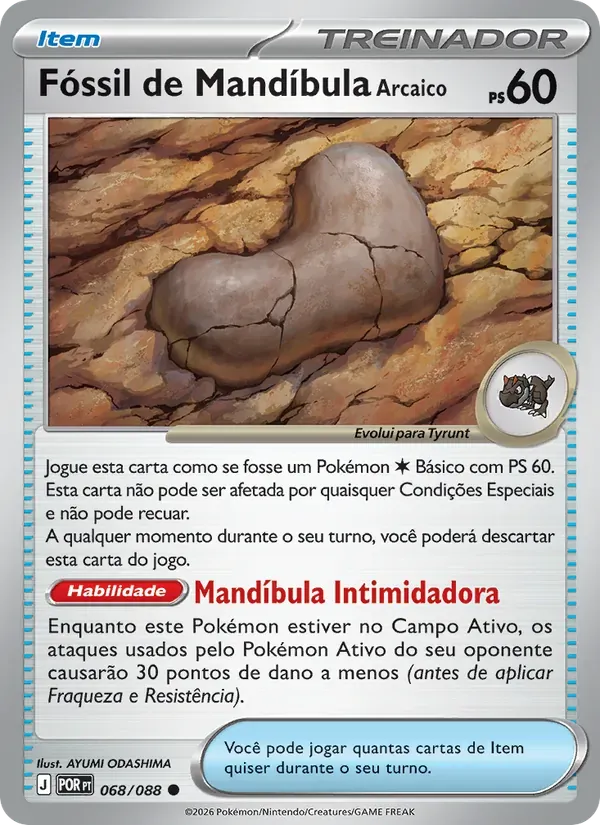 Fóssil de Mandíbula Arcaico 068/88 Equilíbrio Perfeito