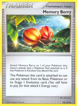 Memory Berry 110 Platinum