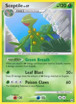 Sceptile 30 Arceus