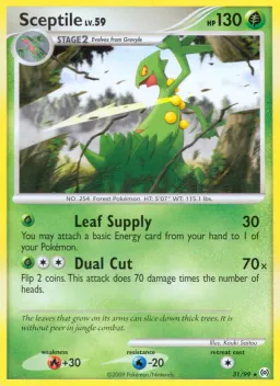 Sceptile 31 Arceus