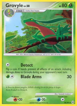 Grovyle 38 Arceus
