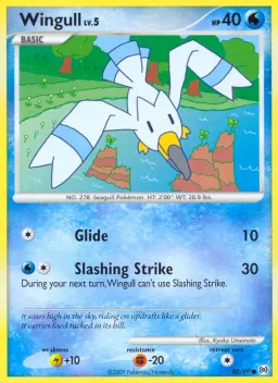 Wingull 80 Arceus