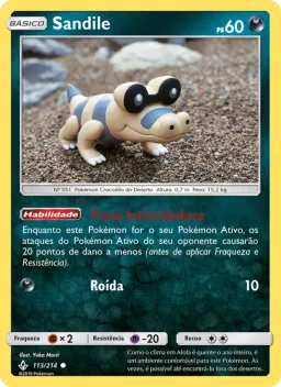 Sandile 113 Elos Inquebráveis