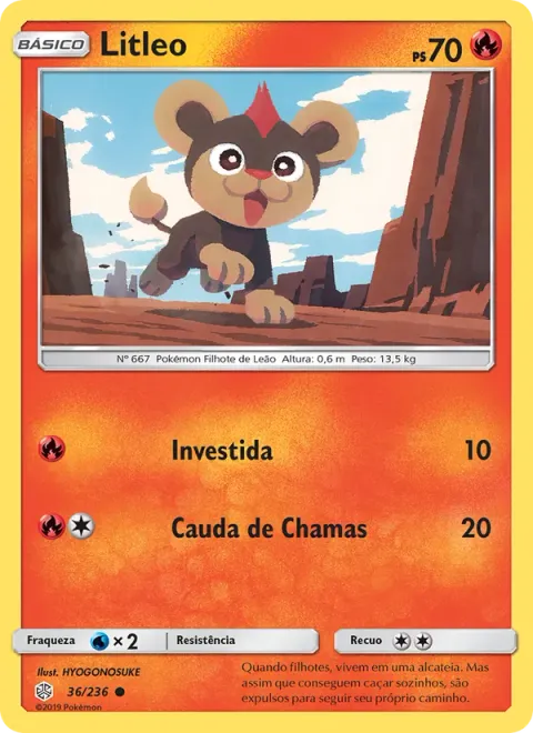 Litleo 36/236