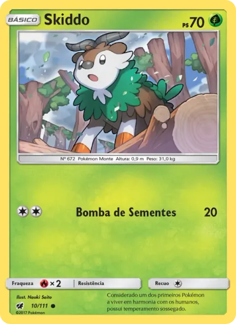 Skiddo 10/111