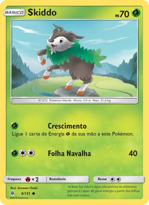 Skiddo 9/131