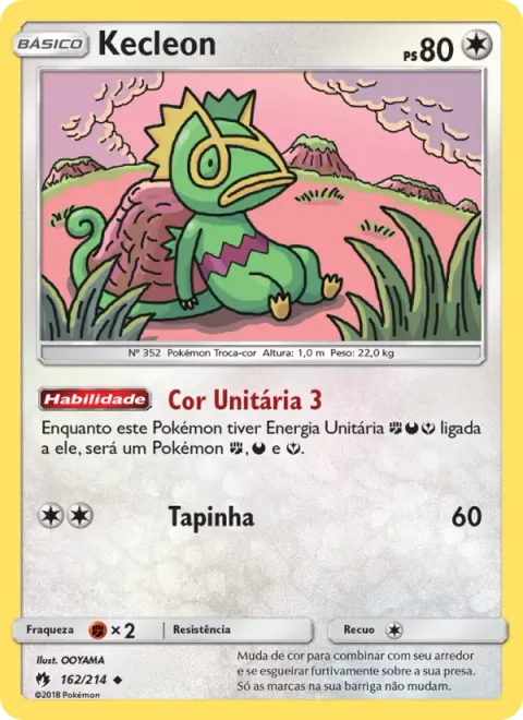 Kecleon 162/214