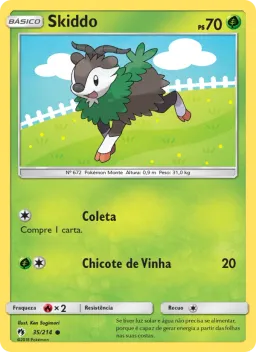 Skiddo 35 Trovões Perdidos