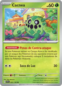 Cacnea 005 Escarlate e Violeta