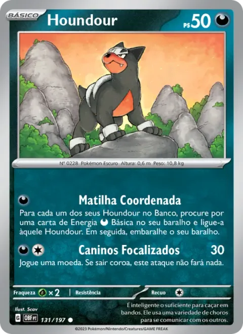 Houndour 131/197