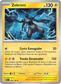 Zekrom 066 Fenda Paradoxal