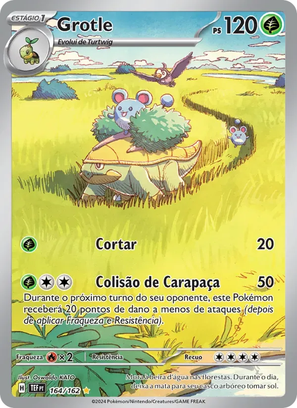 Grotle 164/162 Forças Temporais